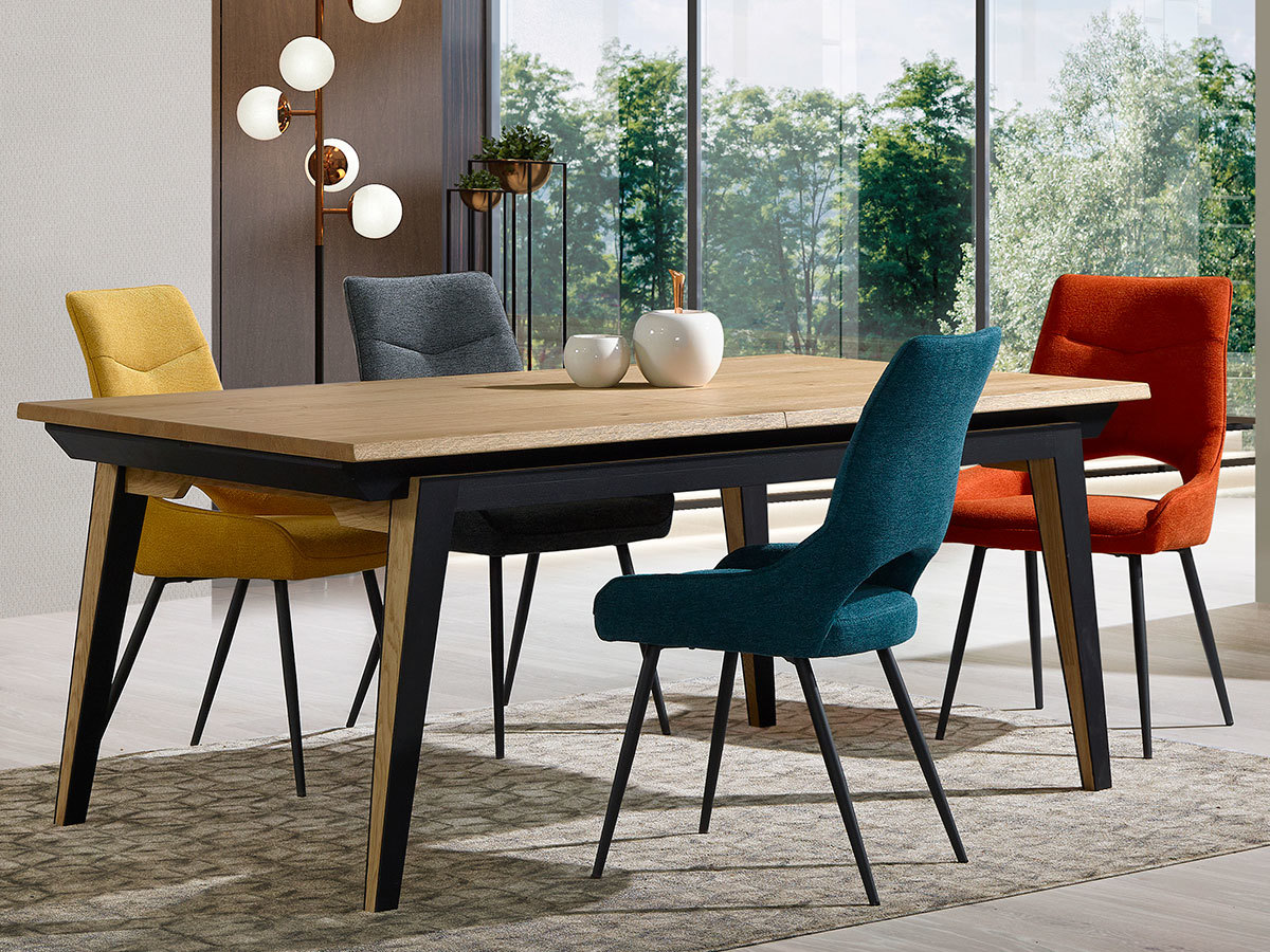 Table de repas avec allonges